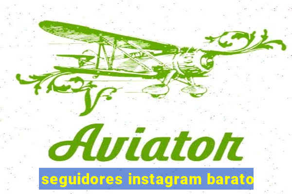 seguidores instagram barato