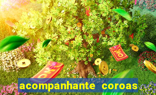 acompanhante coroas sao paulo