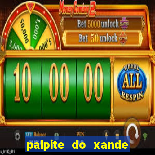 palpite do xande de hoje