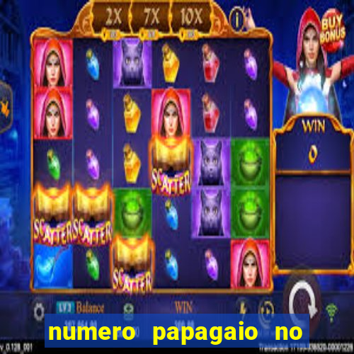 numero papagaio no jogo do bicho