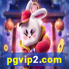 pgvip2.com