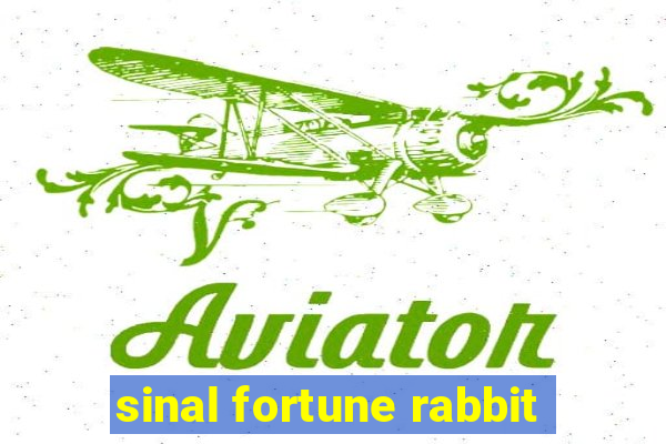 sinal fortune rabbit