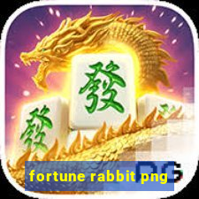 fortune rabbit png