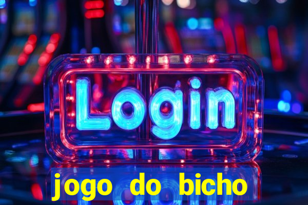 jogo do bicho crash bingo