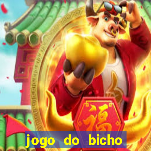 jogo do bicho crash bingo