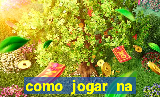 como jogar na seninha online