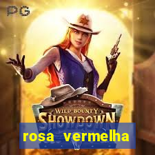 rosa vermelha (letra e cifra)