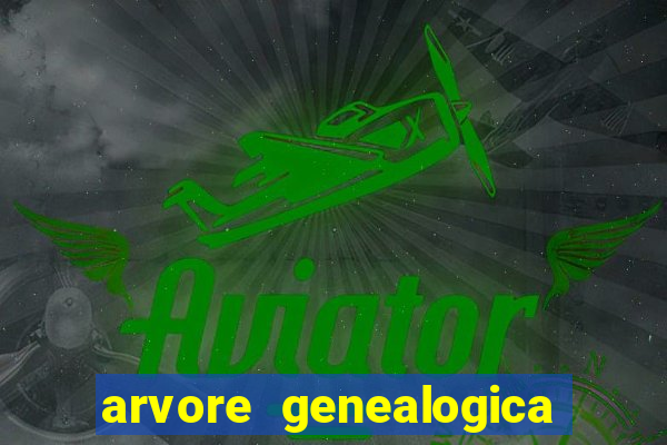 arvore genealogica dos gracie