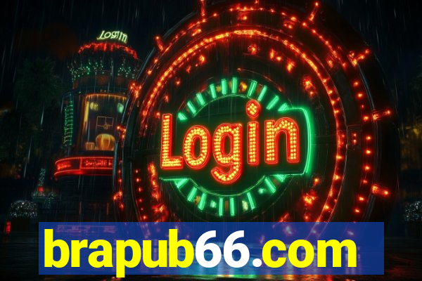 brapub66.com