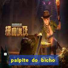 palpite do bicho deu no poste