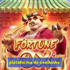 plataforma do coelhinho