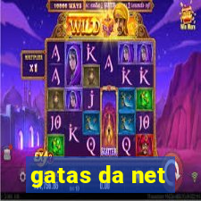 gatas da net