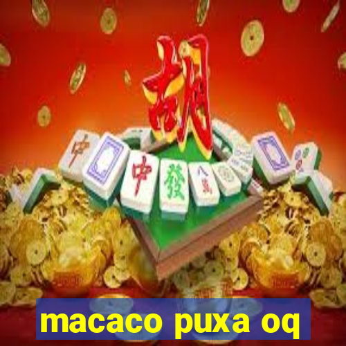 macaco puxa oq