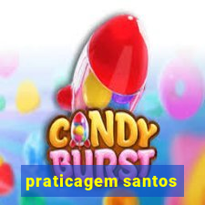 praticagem santos