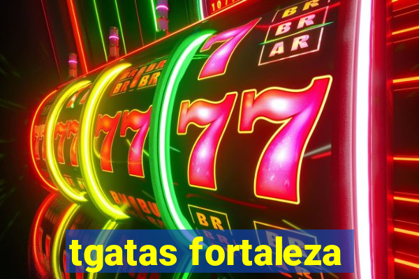 tgatas fortaleza