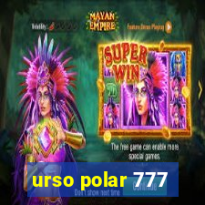 urso polar 777