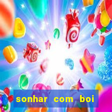 sonhar com boi jogo do bicho