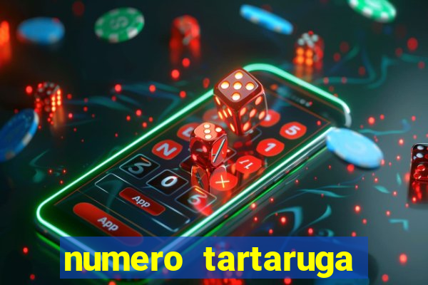 numero tartaruga jogo do bicho