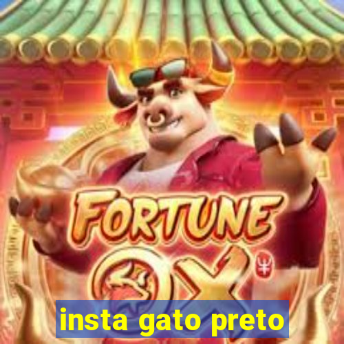 insta gato preto