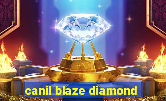 canil blaze diamond