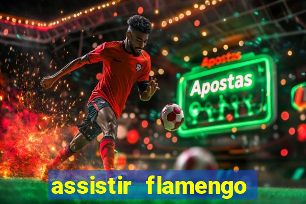 assistir flamengo futebol play hd