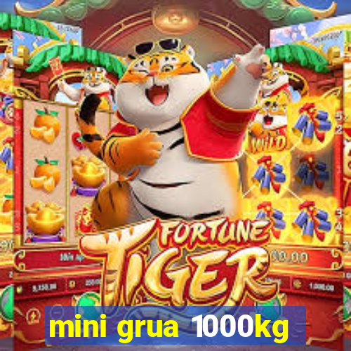 mini grua 1000kg