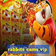 rabbits cams.vip