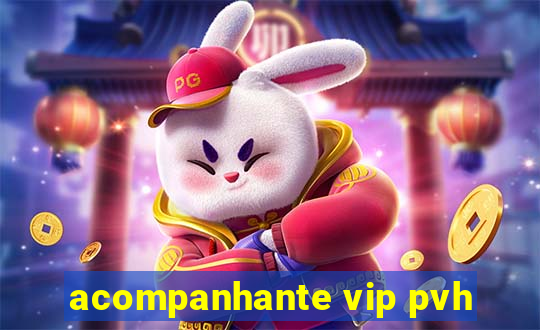 acompanhante vip pvh