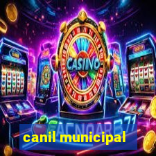 canil municipal