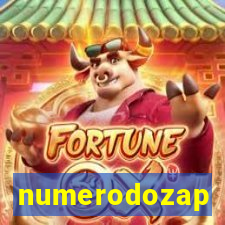 numerodozap