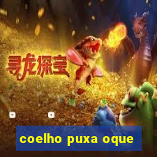 coelho puxa oque