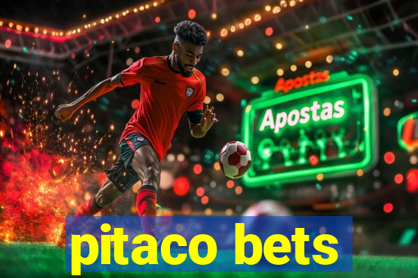 pitaco bets