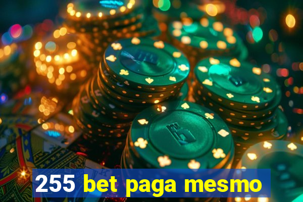 255 bet paga mesmo