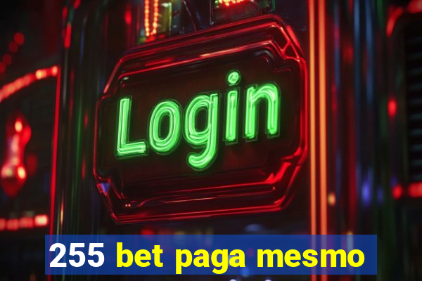 255 bet paga mesmo