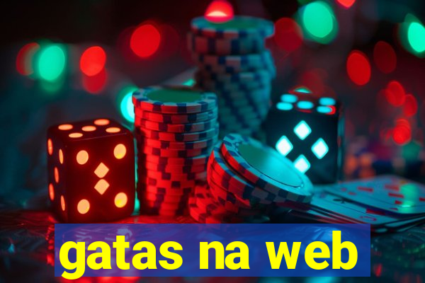 gatas na web