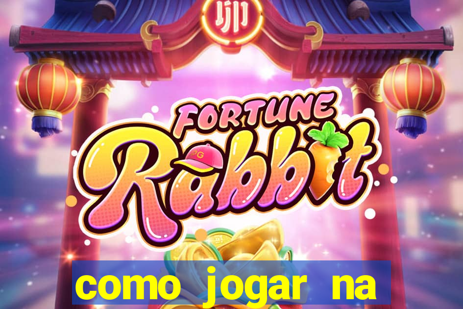 como jogar na teimosinha da lotofacil