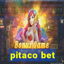 pitaco bet