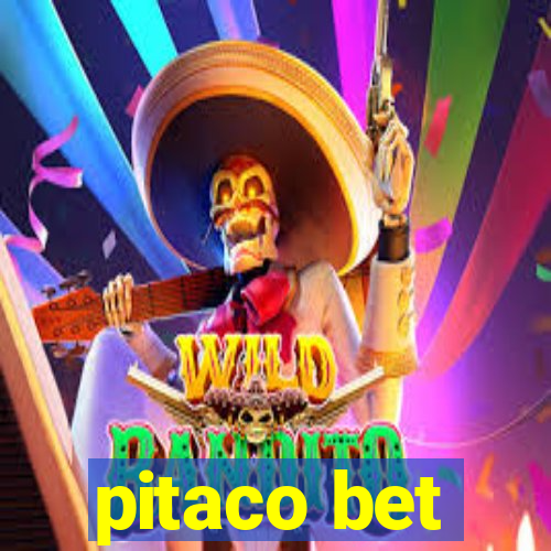 pitaco bet