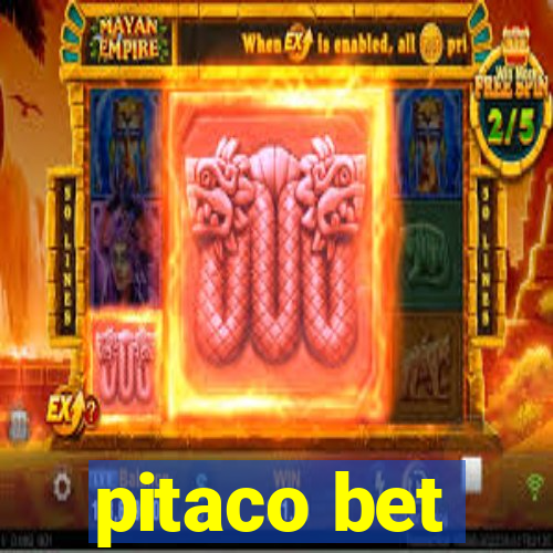 pitaco bet