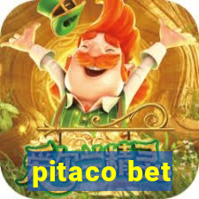 pitaco bet