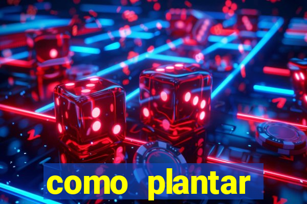 como plantar gergelim no vaso