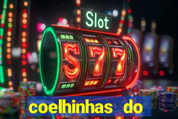 coelhinhas do brasil acompanhantes