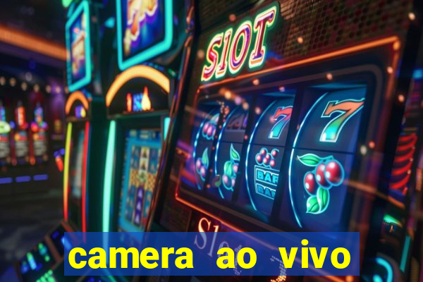 camera ao vivo terminal vila nova cachoeirinha