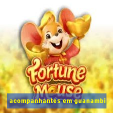 acompanhantes em guanambi