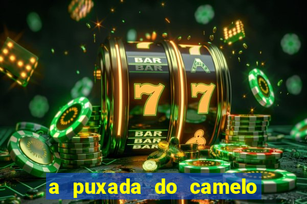 a puxada do camelo no jogo do bicho