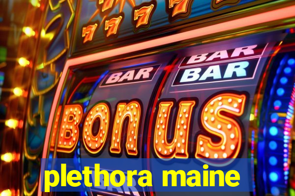 plethora maine