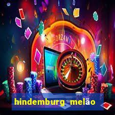 hindemburg melão jr fortuna