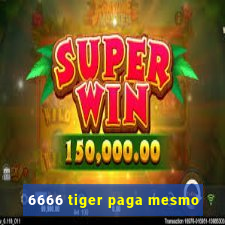 6666 tiger paga mesmo