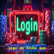 jogo do bicho que paga no pix