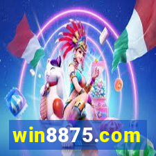 win8875.com